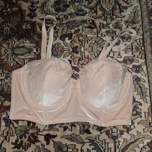 Victoria's Secret Dream Angel Velvet Bra.